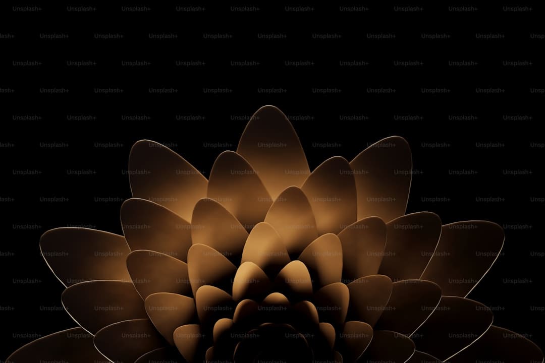 王灿回应被说是宋慧乔替身:我仅仅我自己罢了